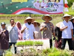 Gubernur Mualem: LTT Aceh Meningkat Berkat Bantuan Oplah dari Presiden