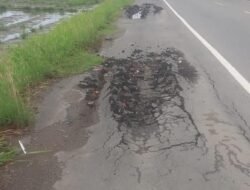 Proyek Jalan Lintas Sigli – Bireuen Diduga Dikerjakan Asal Jadi ,Warga Yang Melintas Jadi Korban hingga Merengut Nyawa