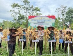 Dipimpin Presiden RI, Kapolres Pidie Ikuti Panen Raya Nasional Jagung Serentak Kuartal II Tahun 2025