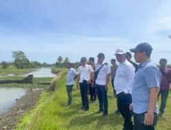 Bupati Aceh Besar Tinjau Sawah Blang Tamak Tungkop Cari Solusi Pengairan untuk Dongkrak Produktivitas Petani