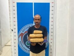 Sat Resnarkoba Polres Aceh Besar Amankan Tersangka Dengan Barang Bukti Sejenis Ganja