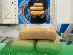 Ungkap Peredaran Narkoba Jenis Ganja, Sat Resnarkoba Polres Aceh Besar Amankan Tersangka Dengan Barang Bukti