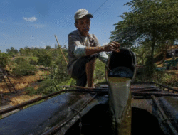 Inilah harga dari Pertamina untuk minyak dari sumur rakyat