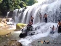 Meniti Sunyi Rimba, Menemukan Surga Tersembunyi di Air Terjun Sangka Pane