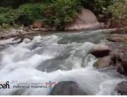 Lawe Gerger, Hangat yang Mengalir dari Rimba Aceh Tenggara