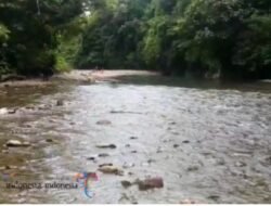 Menyusuri Jejak Alam dan Sejarah di Gunung Kila