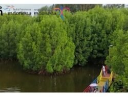 Meniti Lorong Zamrud Pesisir: Menyelami Teduhnya Eko Wisata Mangrove Aceh Jaya