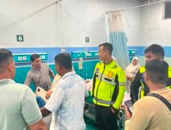 Pohon Tumbang Timpa Suzuki Carry di Pidie, Tujuh Orang Meninggal Dunia