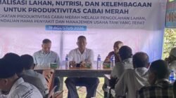 Perwakilan BI Aceh Gekar Bantek Budidsya Cabe Merah untuk Lima Kelompok Tani