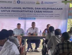 Perwakilan BI Aceh Gelar Bantek Budidaya Cabe Merah untuk Lima Kelompok Tani