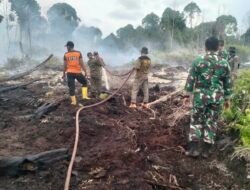 Hari Ketujuh, TNI dan Tim Gabungan Terus Kendalikan Karhutla di Ujung Mangki