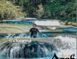 Menyibak Pesona Tamsar 27, Permata Bertingkat di Rimba Aceh Tamiang